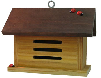 'Ladybug Barn' Ladybug House