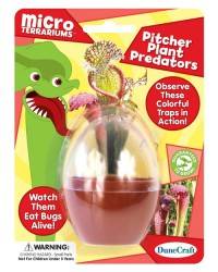 Mini Pitcher Plant Growing Kit
