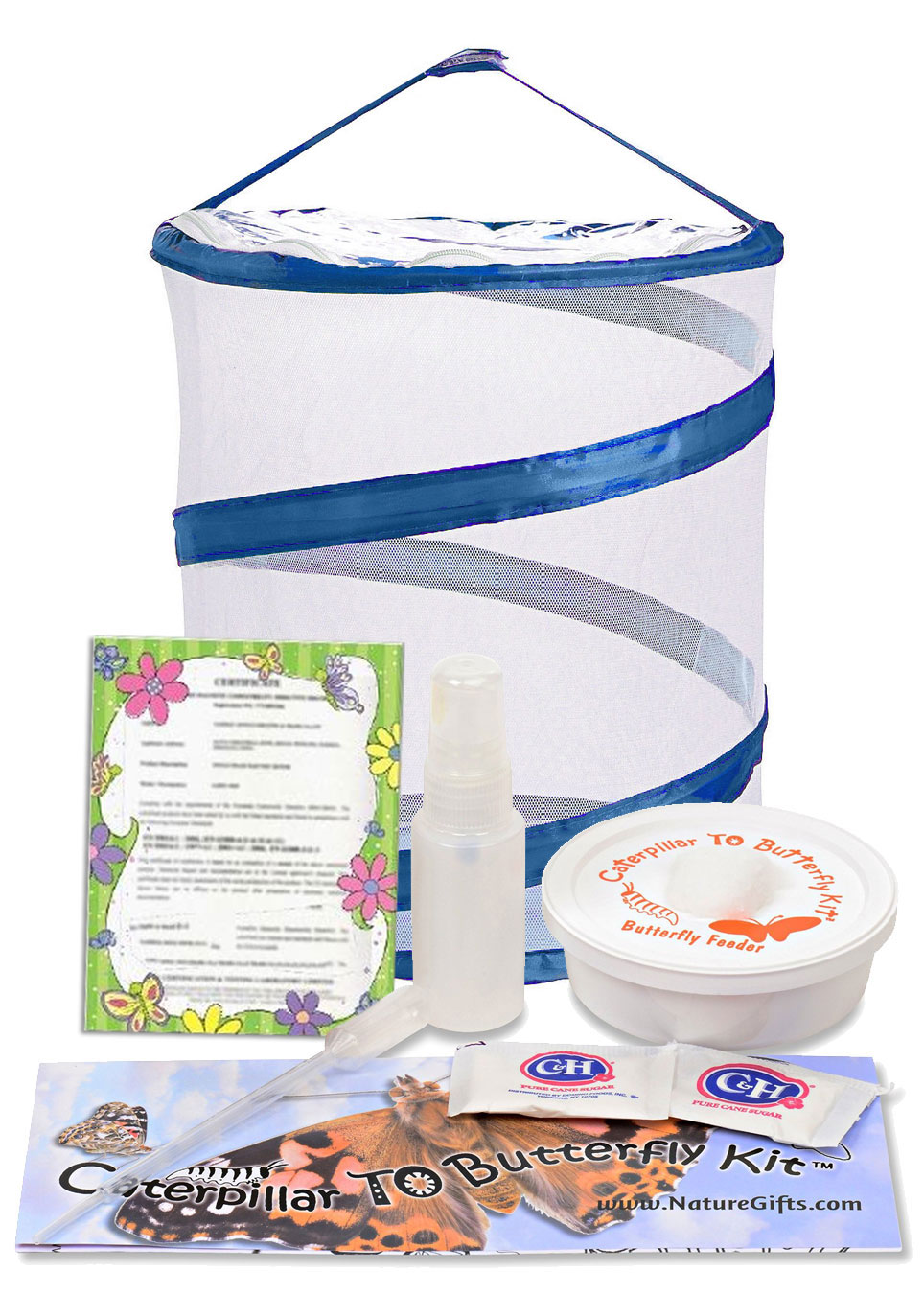 Butterfly Kits Live Butterflies, Caterpillars / Larvae For Sale!