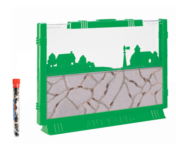 GIANT Ant Farm Live Ants In Stock