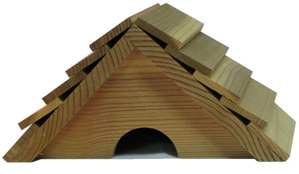 1917-toad-houses-l-600×349