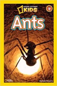 ants-book-national-geographic-kids-332×499-38145-200×300