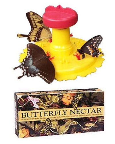 Butterfly Feeder With 1 Box Butterfly Food Butterfly And Nature