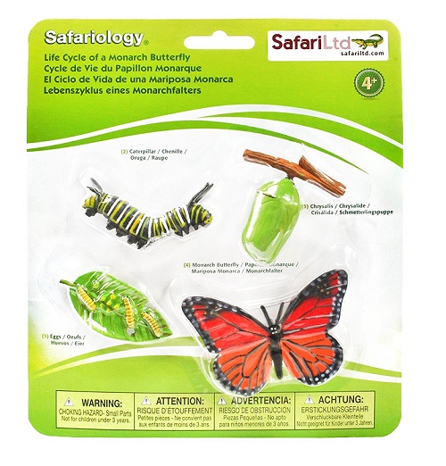 Complete Butterfly Kit Painted Lady Butterflies