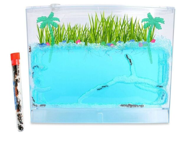 ecosystem-ant-habitat-with-1-tube-of-ants (1)