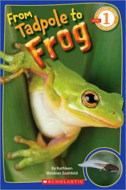 from-tadpole-to-frog-book (1)