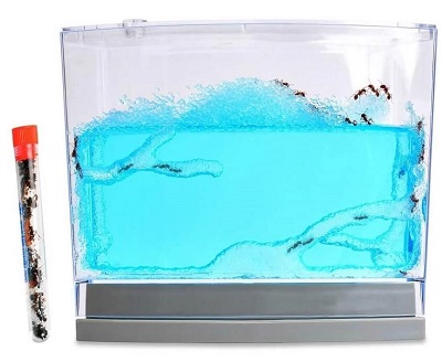 gel-ant-habitat-with-1-tube-of-ants-400×328