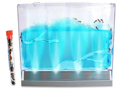lighted-gel-ant-habitat-with-1-tube-of-ants-400×316