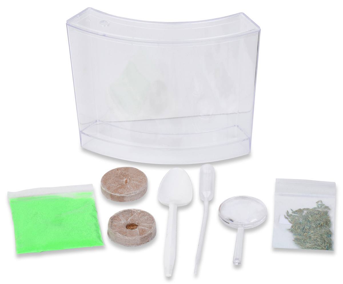 Worm Farm Kits For Kids to Observe the Amazing World of Worms Close Up!