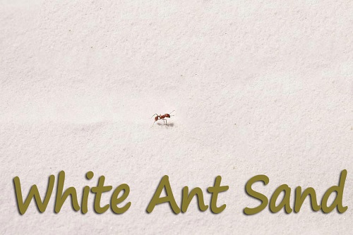 ant-farm-sand-refill-white