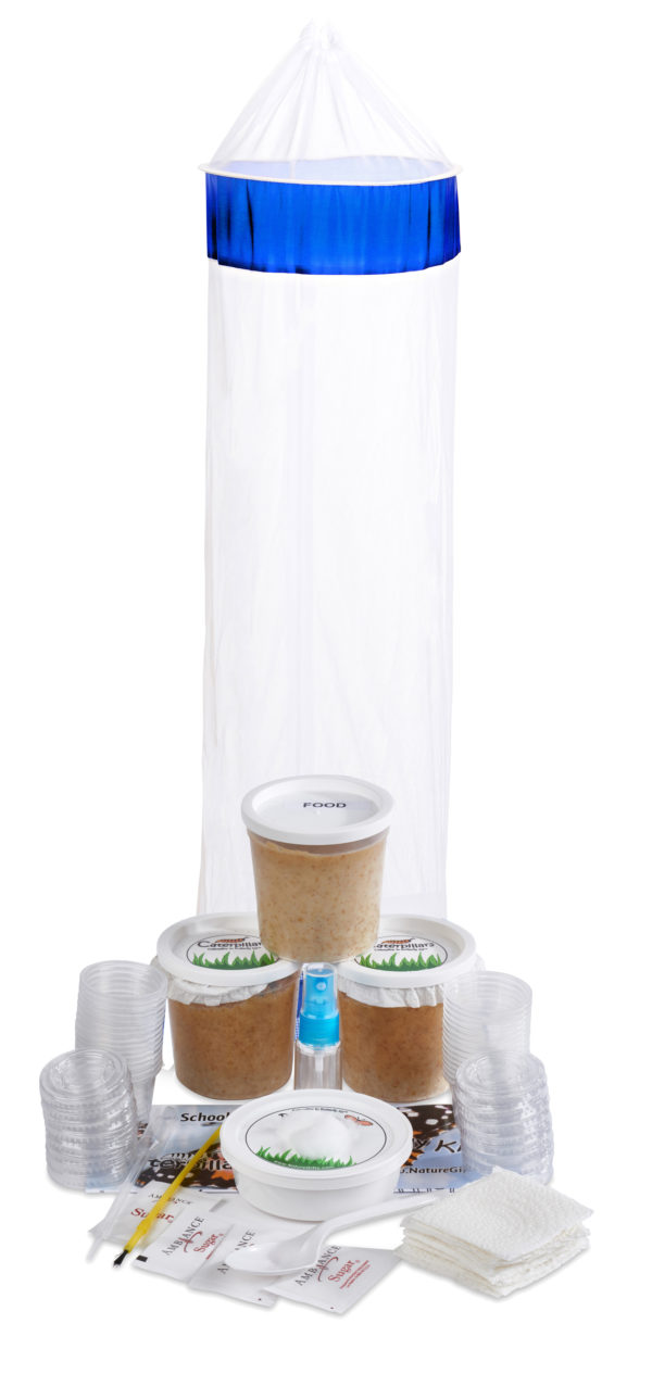 butterfly-kit-school-size-hanging