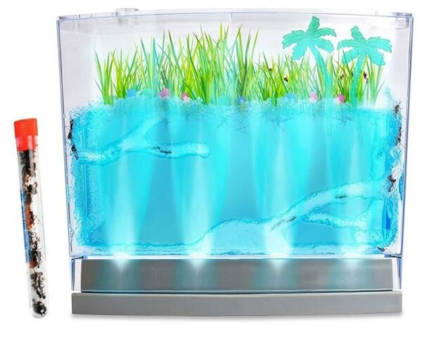 lighted-ecosystem-ant-habitat-with-1-tube-of-ants