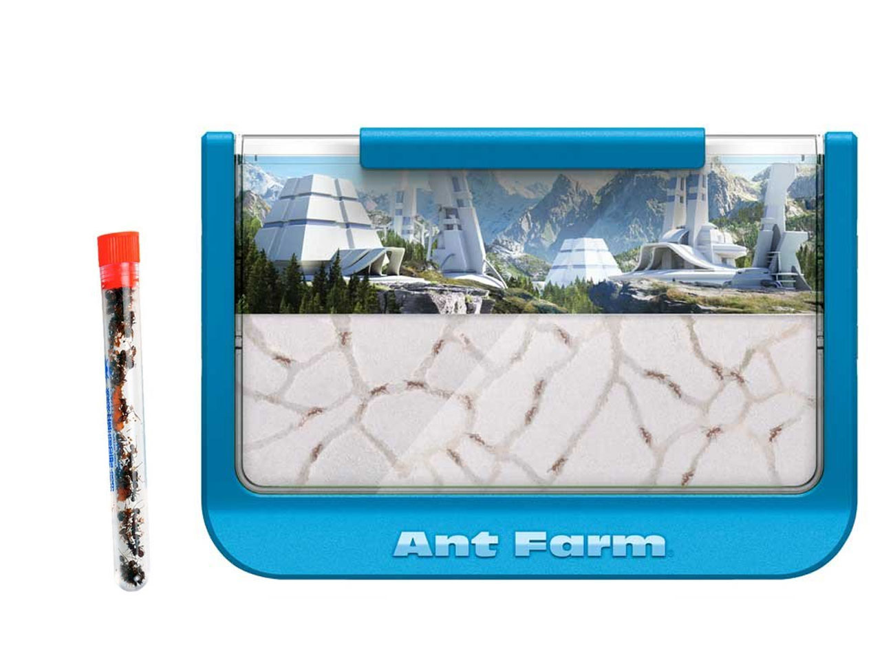 Blue Mountains Ant Farm With 1 Tube of Ants