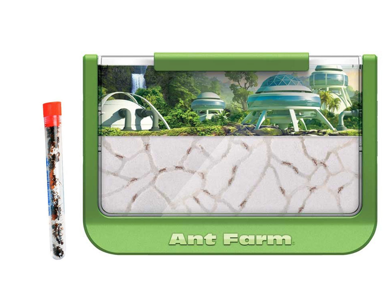 Ant Farms Our Ant Farms are Fun and Educational!