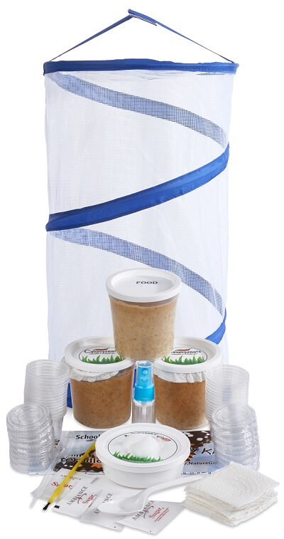 butterfly-kit-for-school-with-30-caterpillars-and-large-popup-habitat-250×350