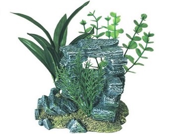 frog-dry-land-island (1)