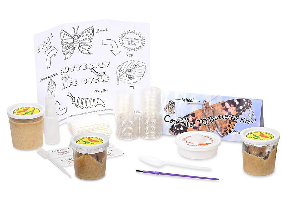 Directions for Our Kits Butterfly and Nature Gifts