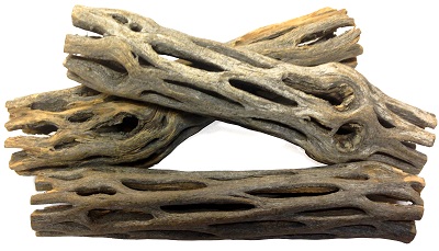 3-cholla-exercise-logs-for-hermit-crabs