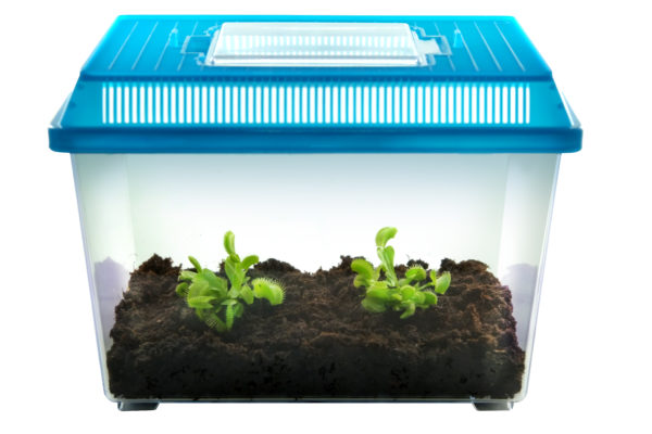 VFT-deluxe-kit-01