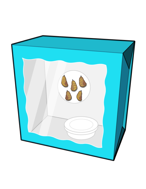 crafty-box-blue-box-with-chrysalis-and-feeder-500x650 crafty-box-blue-box-with-chrysalis-and-feeder-500x650